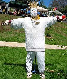 Scarecrow cricketer idea