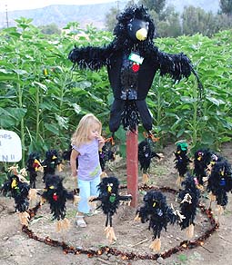 ring a ring a rosie scarecrow