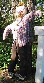 A relaxed traditional scarecrow