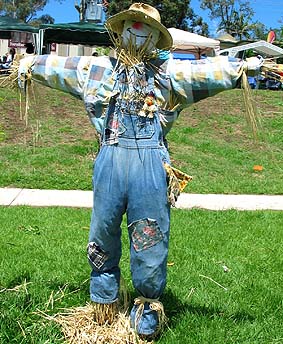 A classic tradtional scarecrow