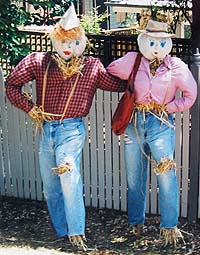 Best mates scarecrow idea