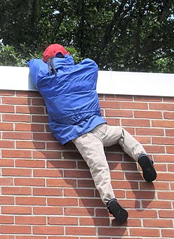 wall climbing scarecrow